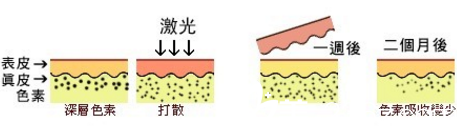 辽宁铁岭美嘉丽医疗整形